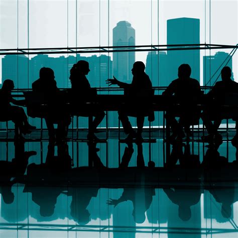 chatrandom board of directors|The CEO guide to boards .